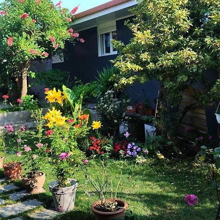 Casa Tito Hotel Campo Lameiro Eksteriør billede